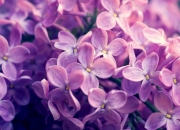 开云-剑指巴黎的最后一舞，乔治关键夜独掌乾坤