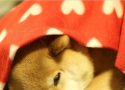 开云体育-欧冠决赛之夜，当绿茵场成为熔炉，爱德华兹是唯一淬火之刃