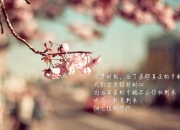 开云体育登录-北欧神话再临，芬兰国家队友谊赛完胜拉齐奥，本泽马化身关键先生定乾坤