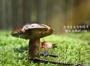 开云体育-主宰赛场，新一代球星用唯一性书写传奇