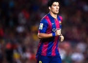 开云-当篮球改写剧本，独行侠的吉林岁月与字母哥的绿茵豪情