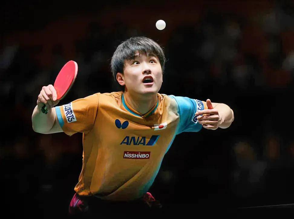 韩国队横扫德国队,张本智和带队取胜 韩国队横扫德国队,张本智和带队取胜