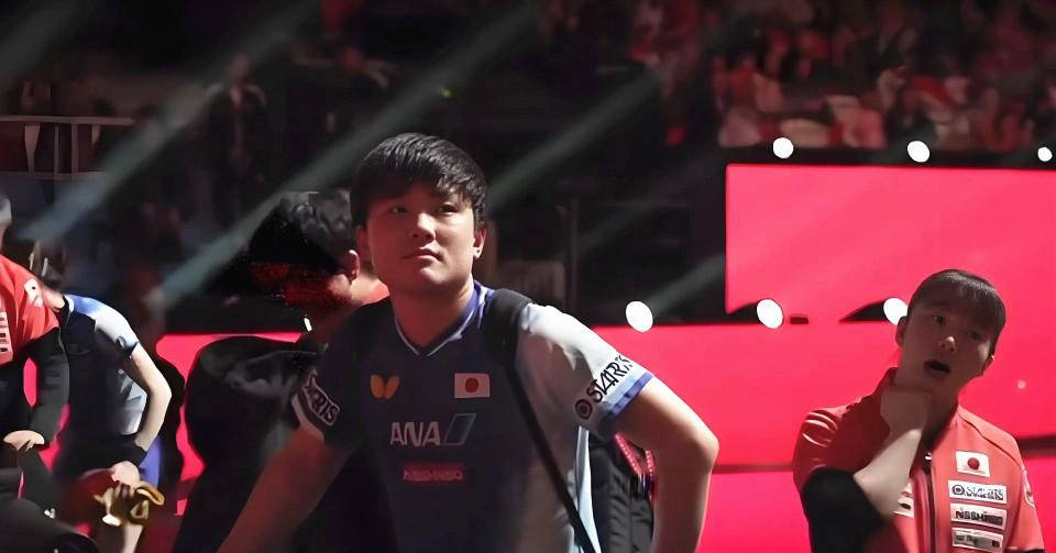 韩国队碾压日本队，张本智和状态火热