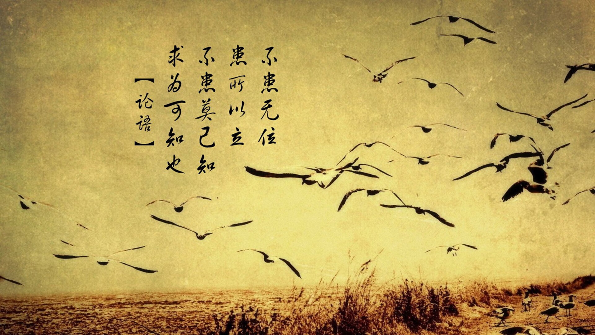 东决封神夜，杰伦·格林的终极进化与无法复制的唯一性