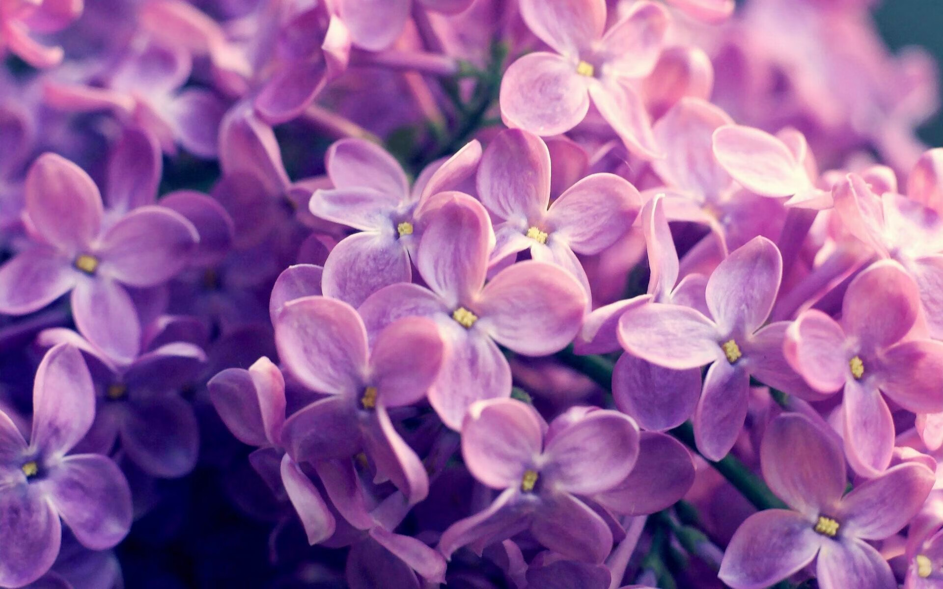 剑指巴黎的最后一舞,乔治关键夜独掌乾坤