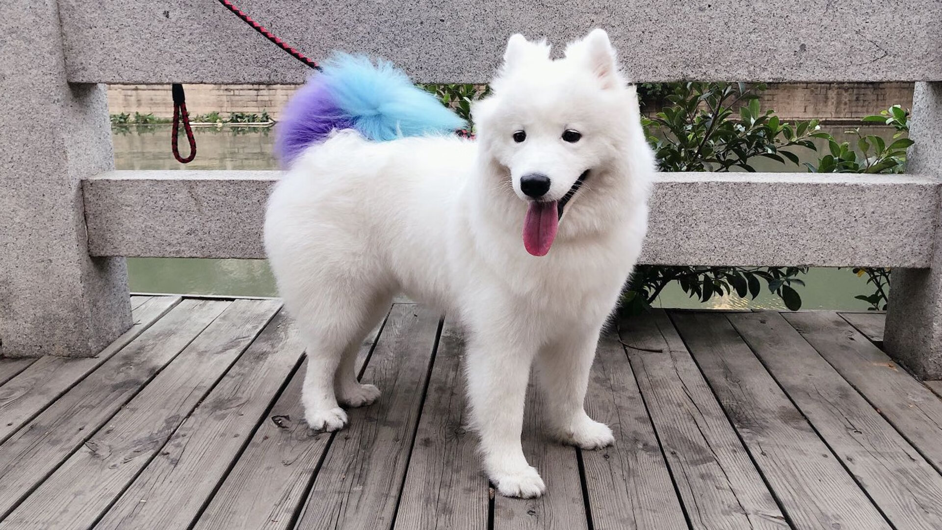 剑指巴黎的最后一舞,乔治关键夜独掌乾坤