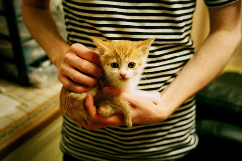 绿茵场的平行宇宙,当英超精密计算遭遇南美原始风暴