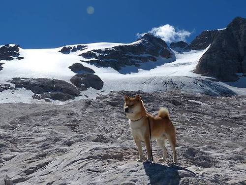 东方战场与西方铁闸，当阿森纳的商业铁骑掀翻日本，范戴克在绿茵焦点战宣告何为统治