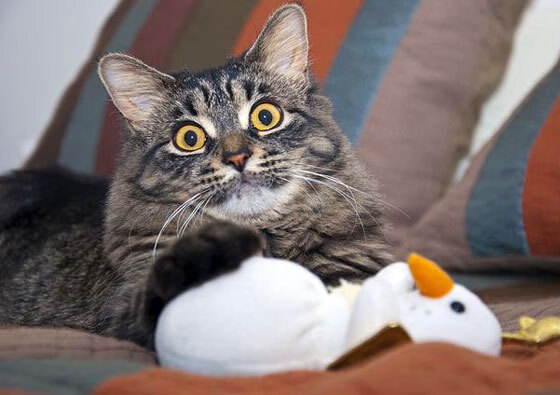 西甲国家德比之夜,当篮球飞向点球点,拉文在伯纳乌关键时刻站出来