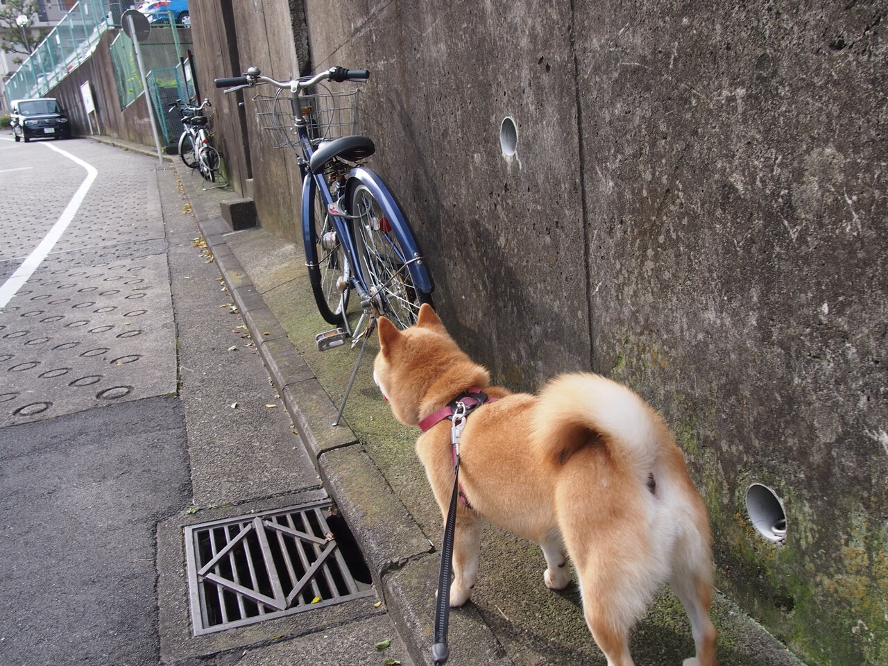 唯一先生!黄喜灿致命一击助英格兰轻取黄色潜水艇