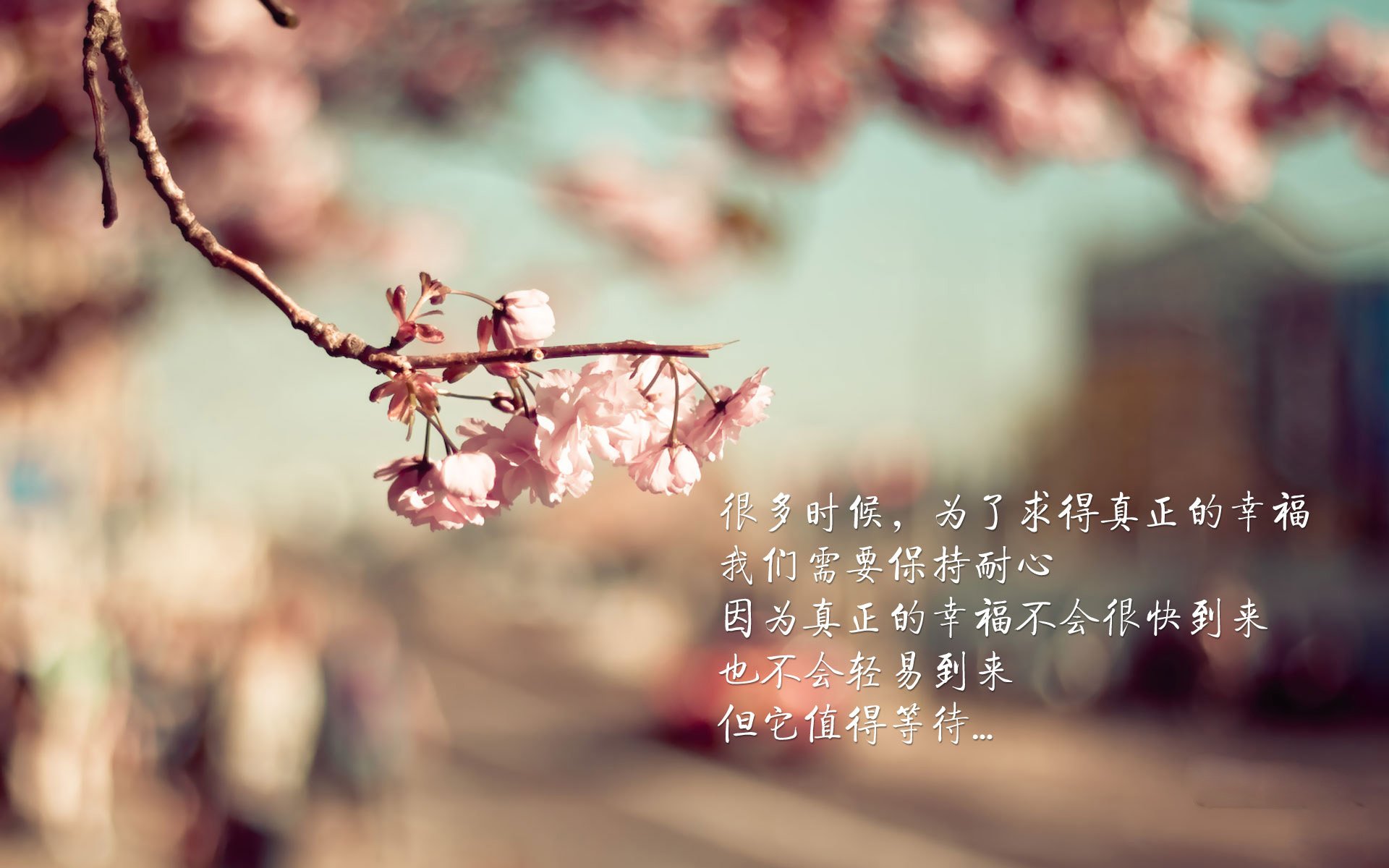 北欧神话再临,芬兰国家队友谊赛完胜拉齐奥,本泽马化身关键先生定乾坤