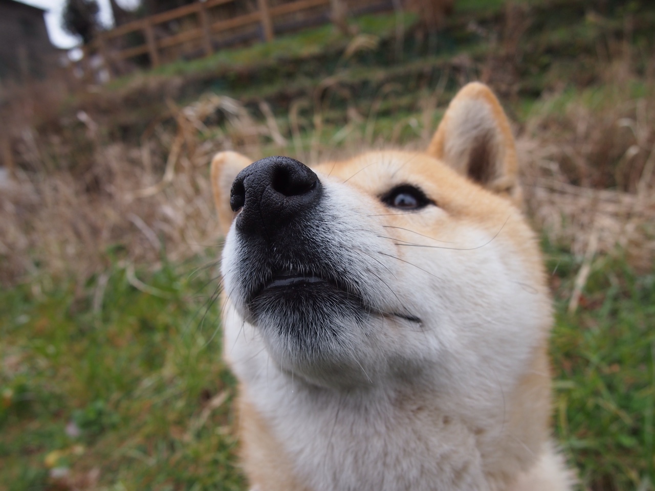 夜幕下的胜利，属于所有无惧的驰骋者