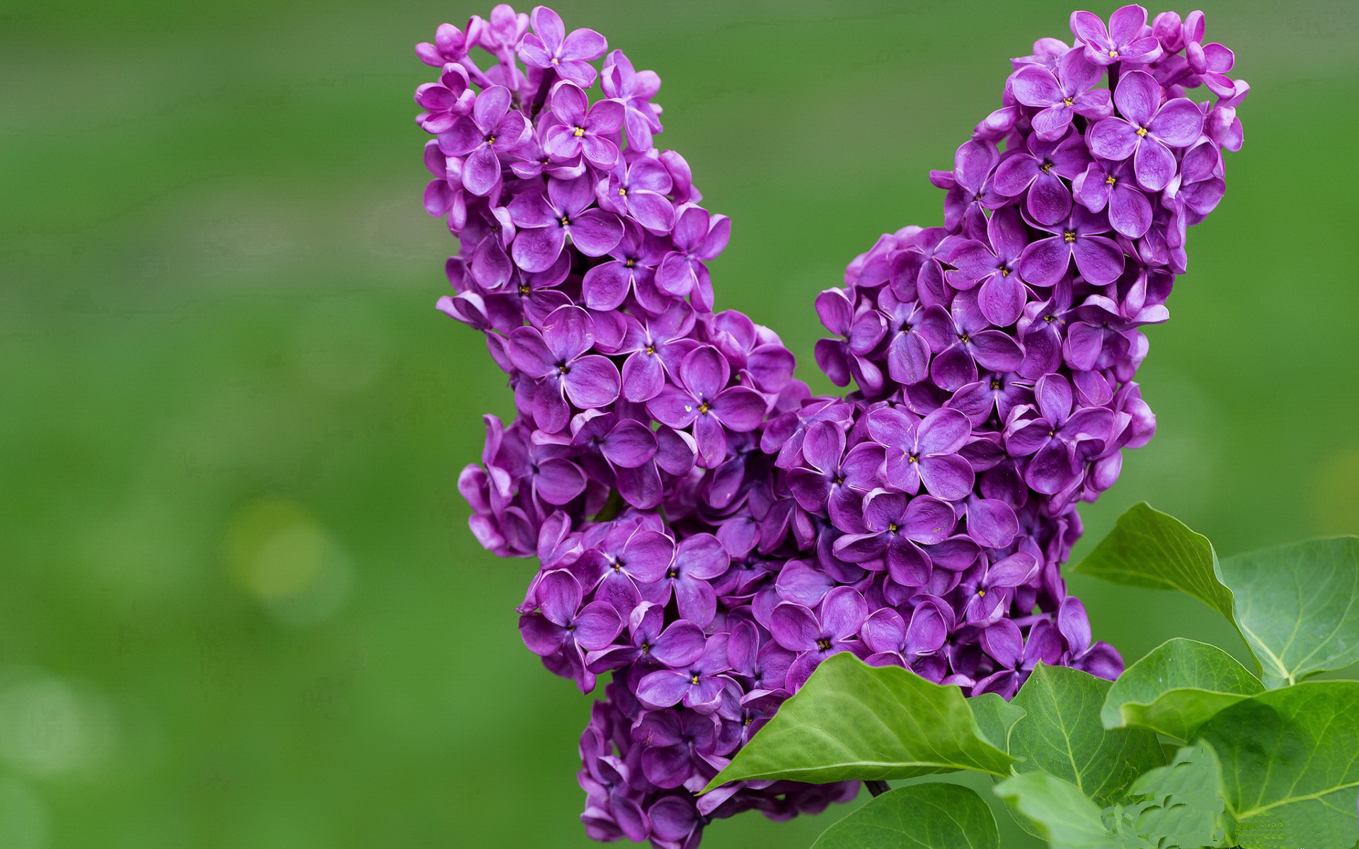 东决关键战之夜,爱德华兹以神迹征服世界,赛后评分系统为他爆表