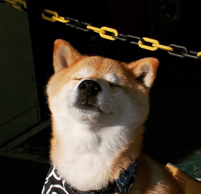 独狼撕碎铁阵，伦纳德无言的34秒让纽约陷入死寂