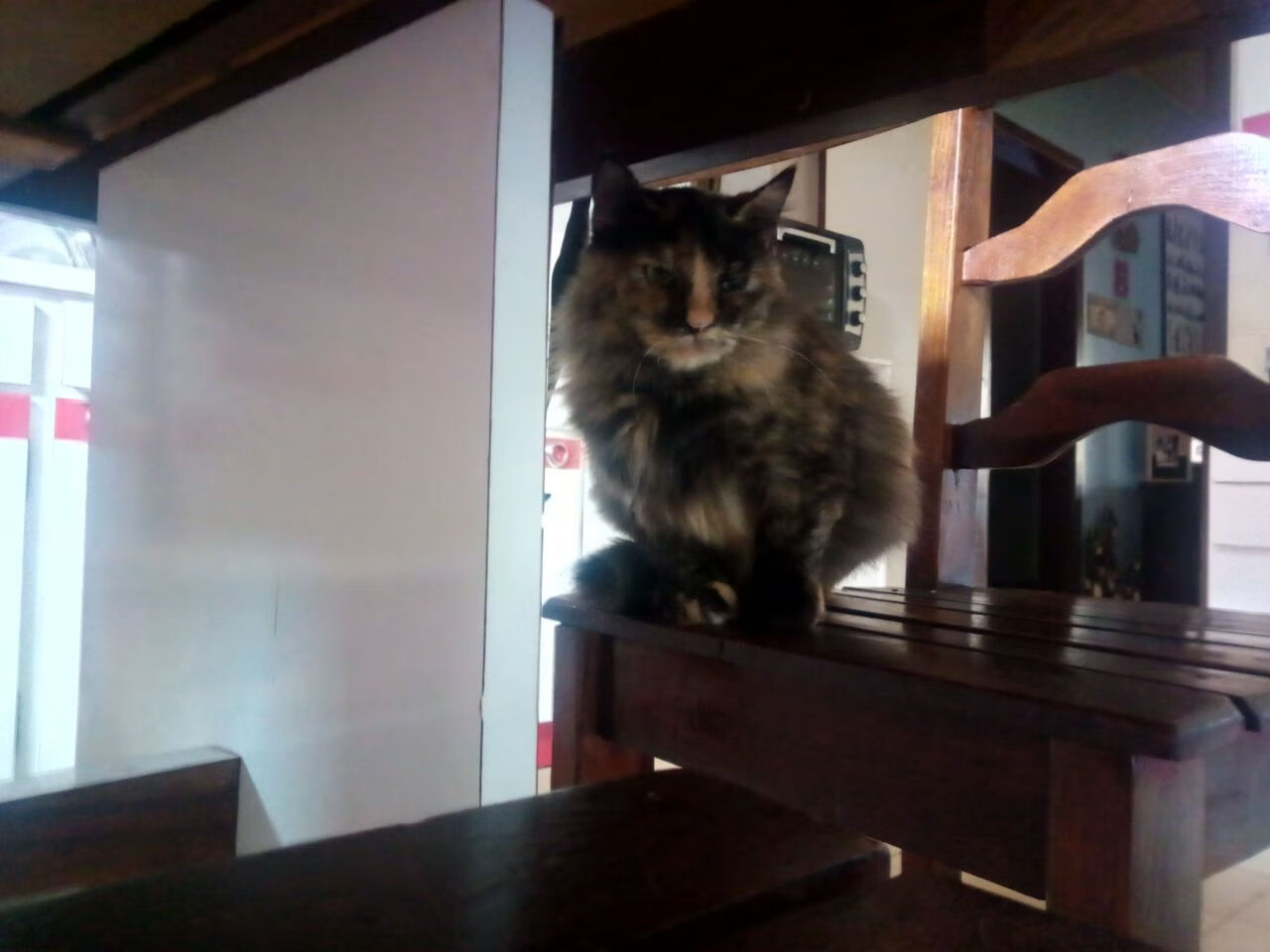 当长矛折断在铁壁之前,戈贝尔如何让年度焦点之战提前闭幕