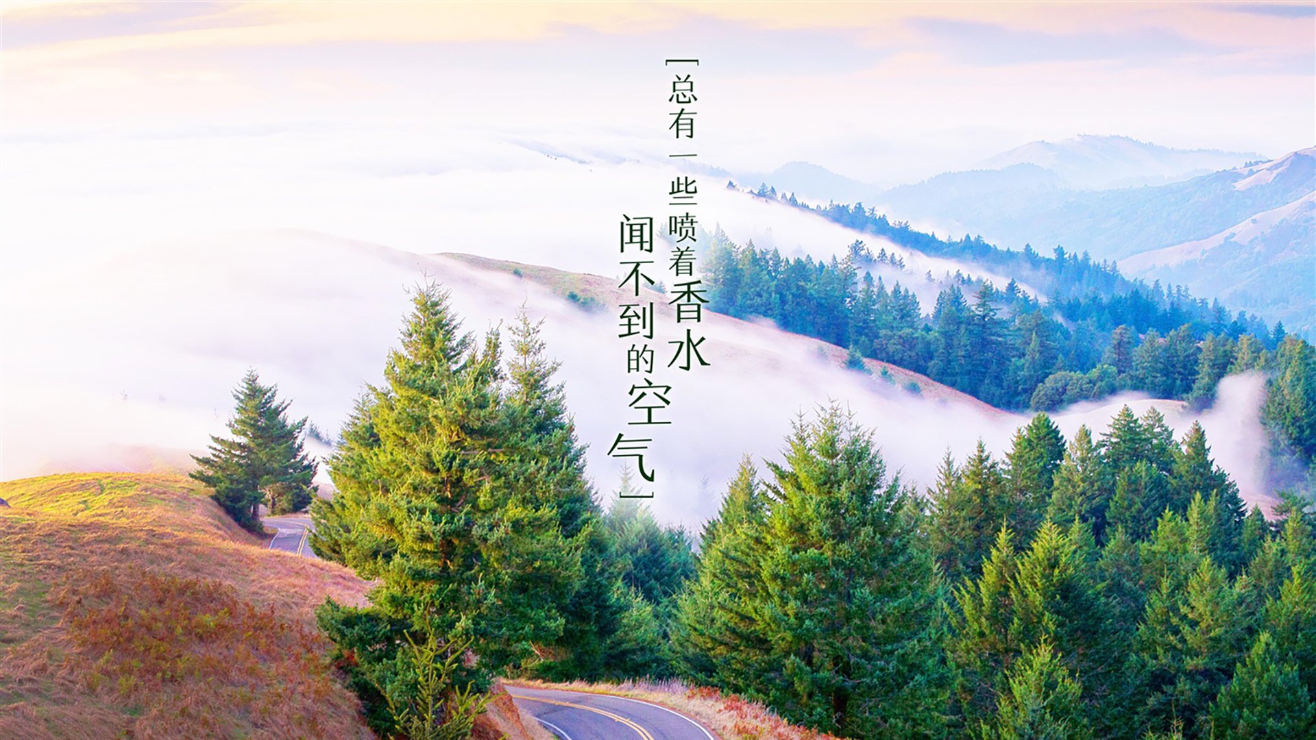 唯一指针,在奥运周期的暗夜,利拉德将时间刻成自己的碑铭
