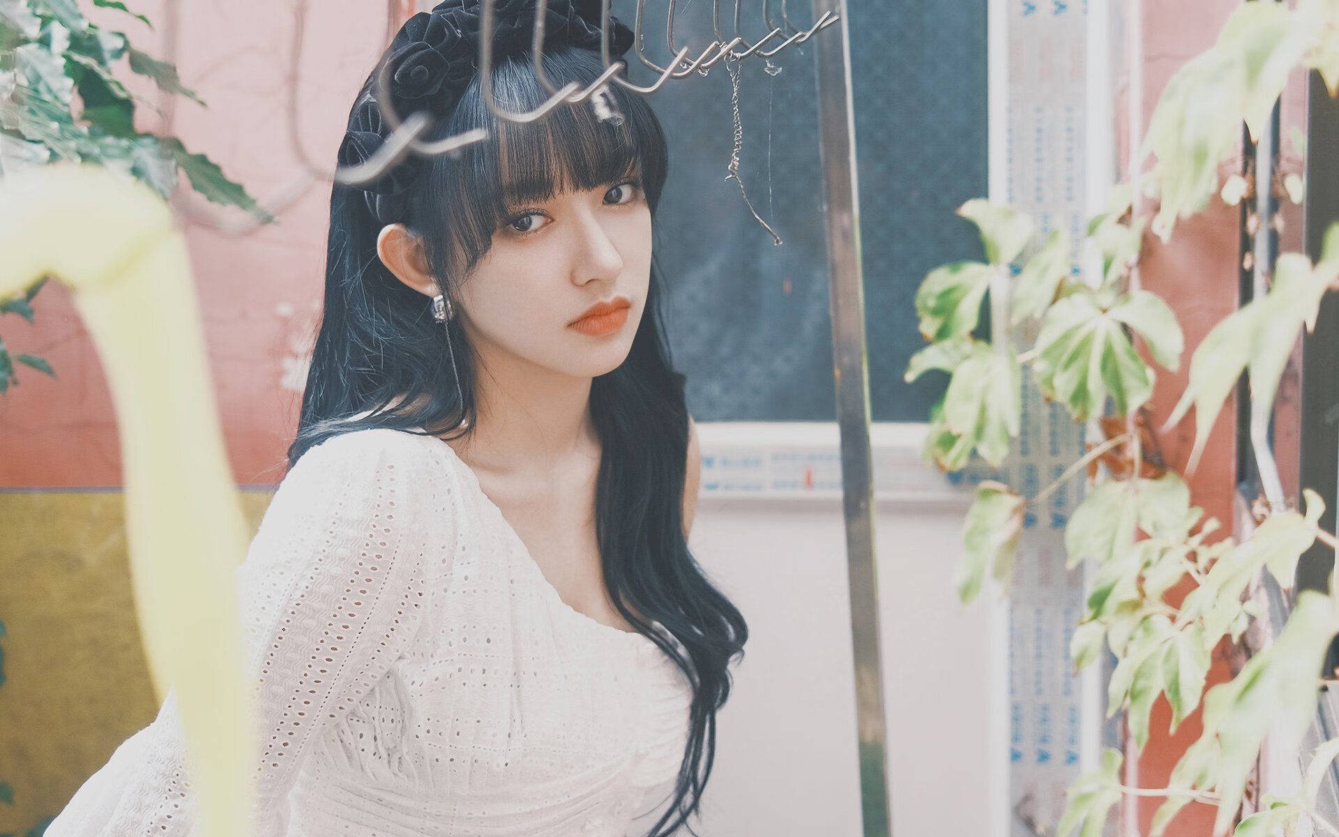 孤星耀世,迪亚斯导演唯一剧本,罗马尼亚在C组用铁血逻辑改写足球宿命